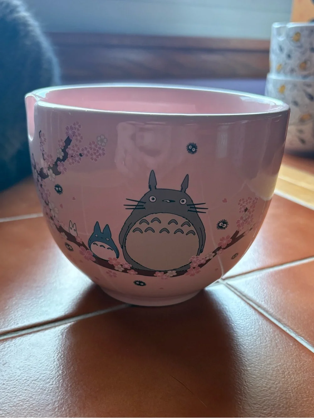 My Neighbor Totoro ramen noodle bowl